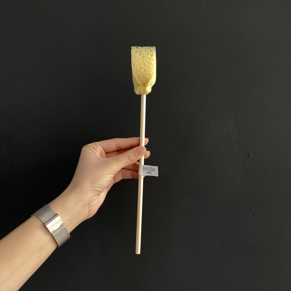 Brush Sponge Brush.